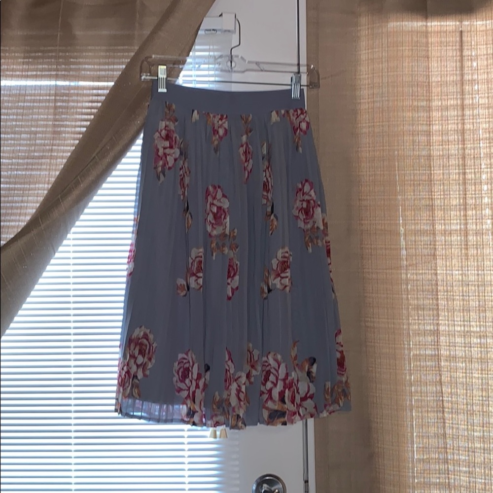 Pleated Skirt